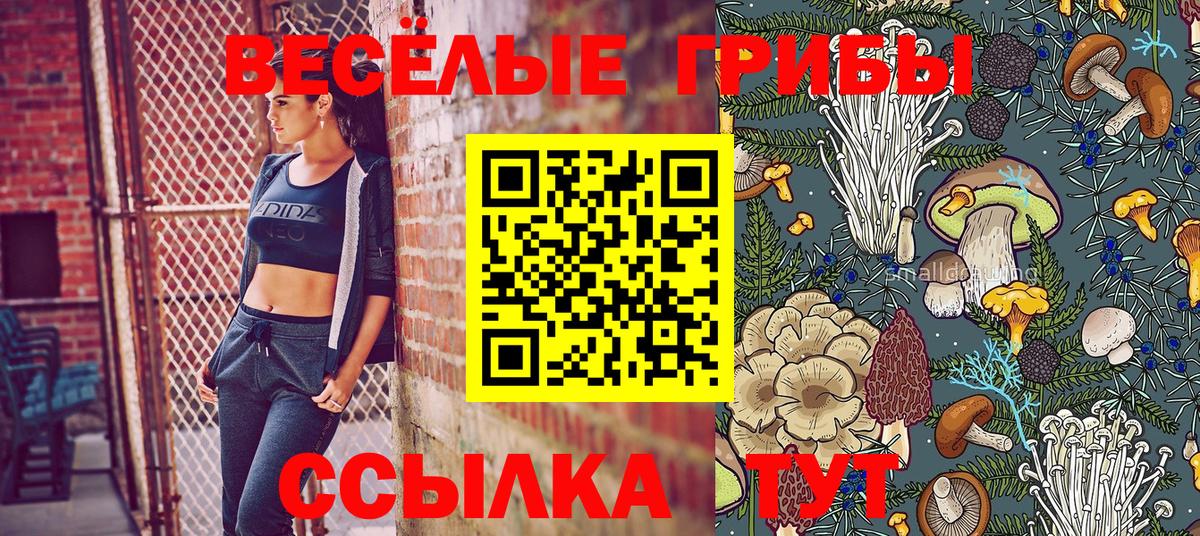 Чита  Галлюциногенные грибы Psilocybe  Вход с VPN 